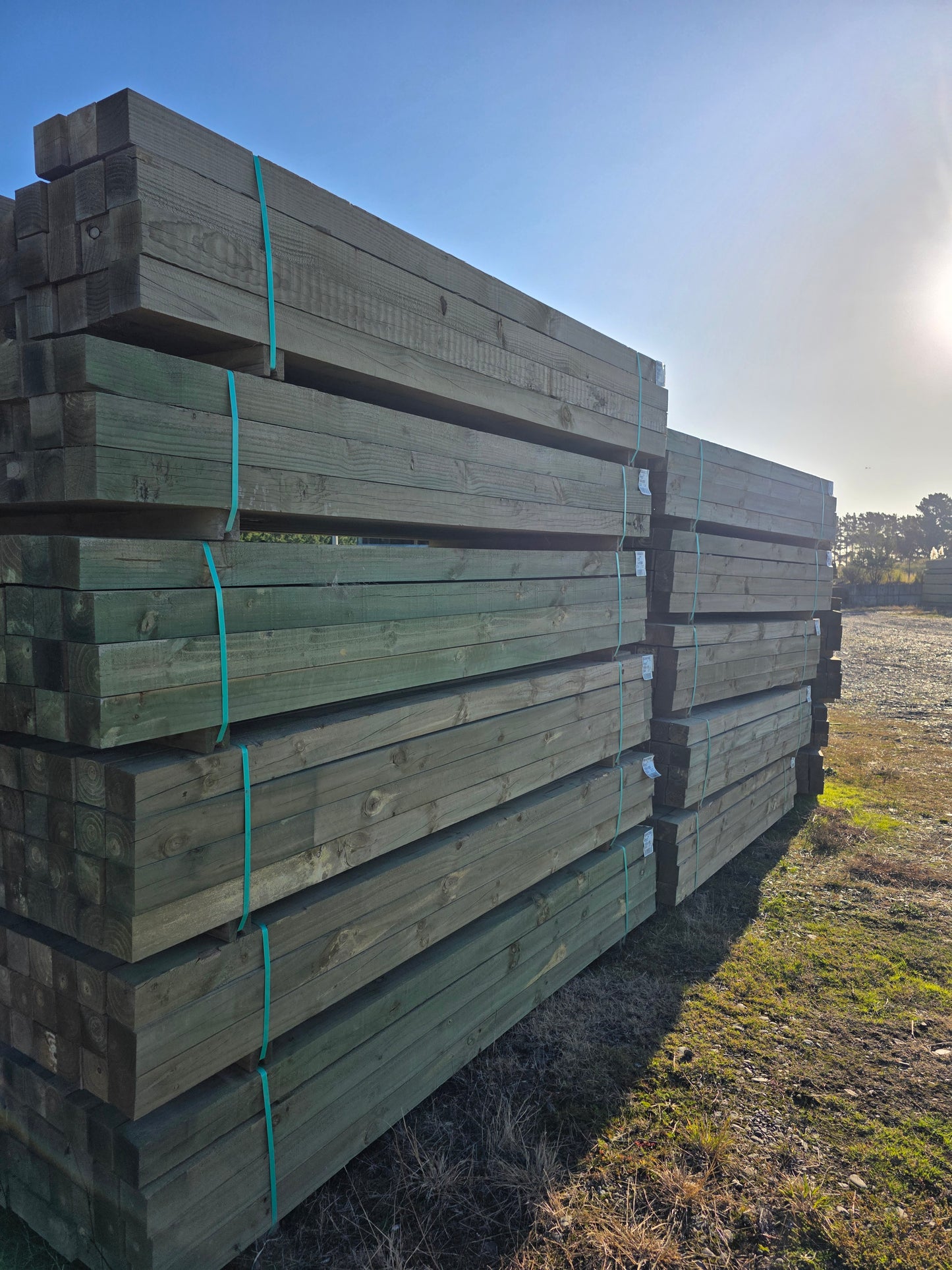 100x100 H4 3.0m x 40pc (dated Stock) #MOA037025A